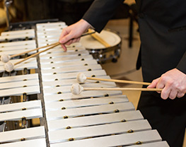 Xylophone closeup on hands of performer in black dress