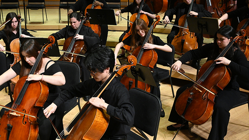 orchestra players